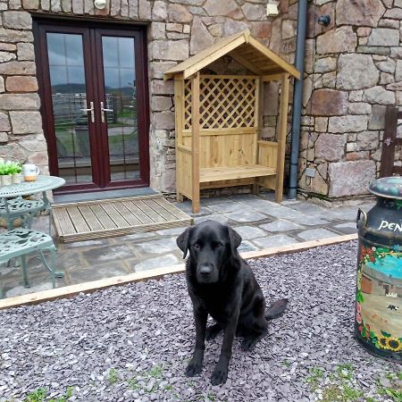 Conwy Pen Cefn Farm Holiday Abergele Buitenkant foto