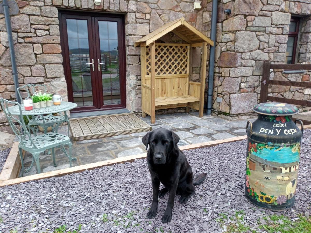 Conwy Pen Cefn Farm Holiday Abergele Buitenkant foto
